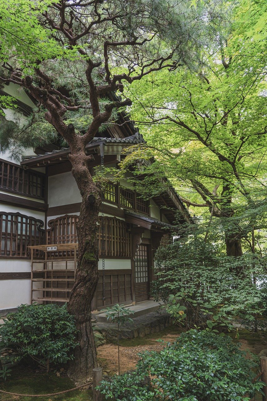 ryoan-ji, ryoan-ji temple, nature, japanese, zen, garden, culture, temple, religion, zen temple, world heritage, unesco world heritage site, sightseeing, japan